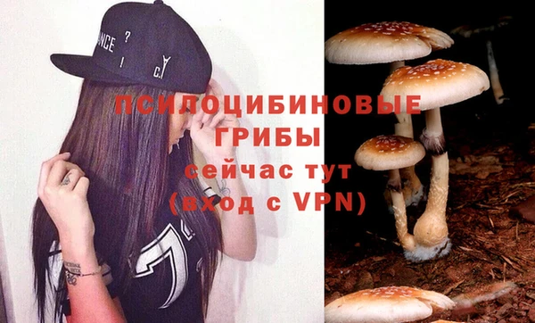 гидра Куйбышев