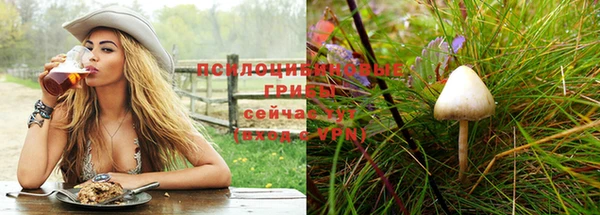 тгк Кукмор